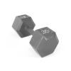 Multi-weight cast iron hexagonal dumbbell, single bar - 35lbs