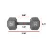 Multi-weight cast iron hexagonal dumbbell, single bar - 35lbs