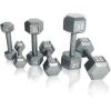 Multi-weight cast iron hexagonal dumbbell, single bar - 35lbs